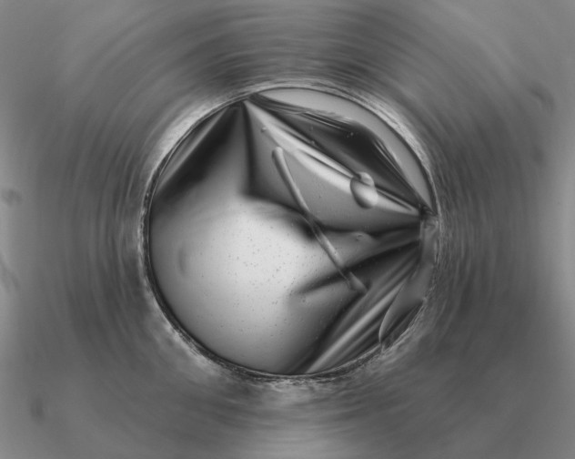 X0000090610906200708071201