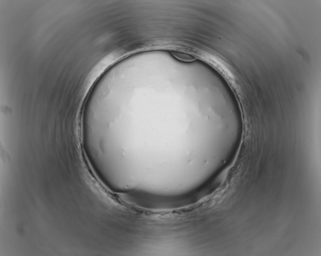 X0000090610907200708071201