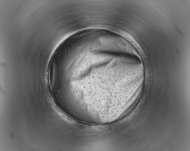 X0000090610908200708071201