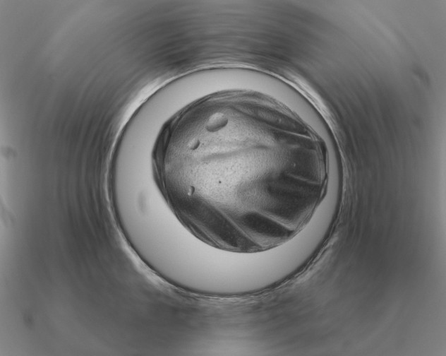 X0000090610909200708071201