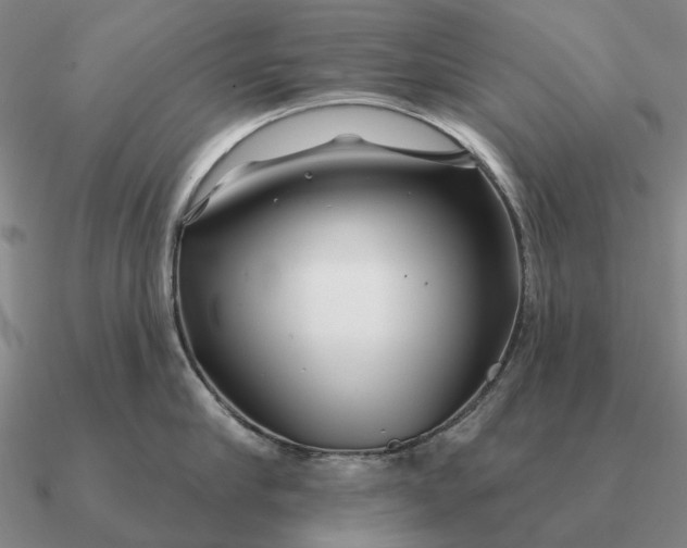 X0000090610910200708071201