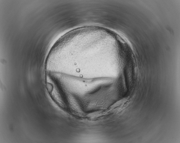 X0000090610911200708071201