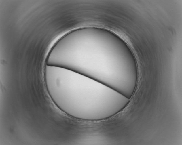 X0000090610912200708071201