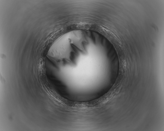 X0000090610914200708071200