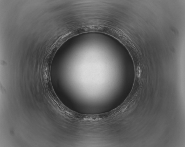 X0000090610915200708071200