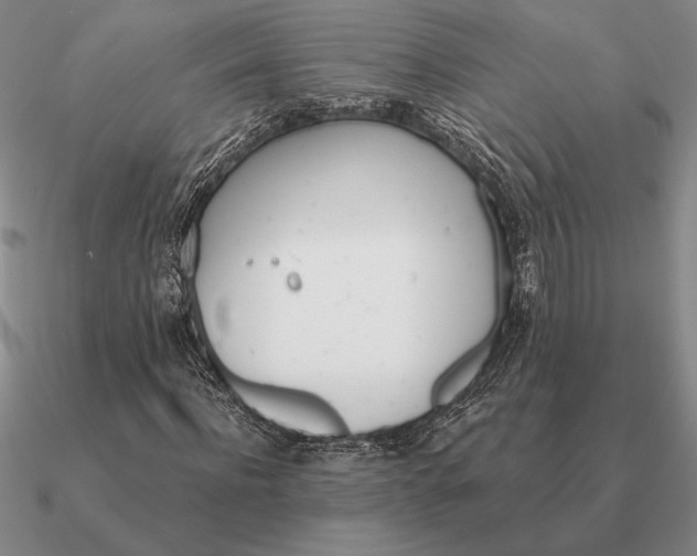 X0000090610916200708071200