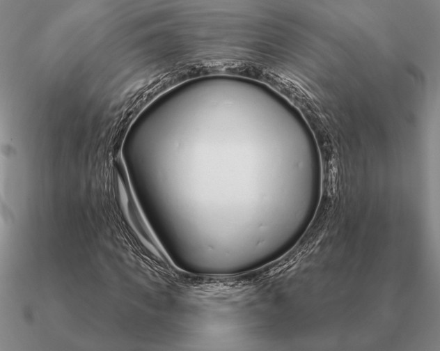 X0000090610917200708071200