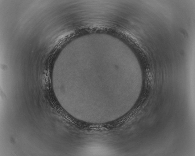 X0000090610918200708071200