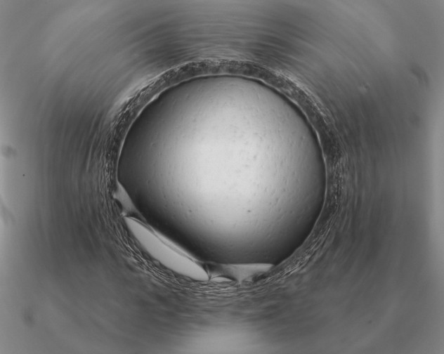 X0000090610919200708071200