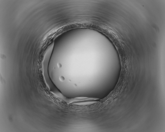 X0000090610920200708071200