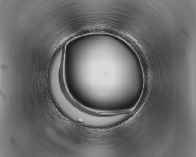 X0000090610921200708071200