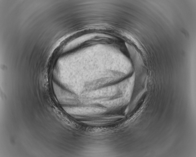 X0000090610923200708071200