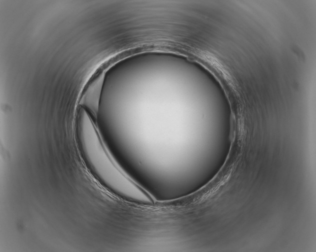 X0000090610924200708071200