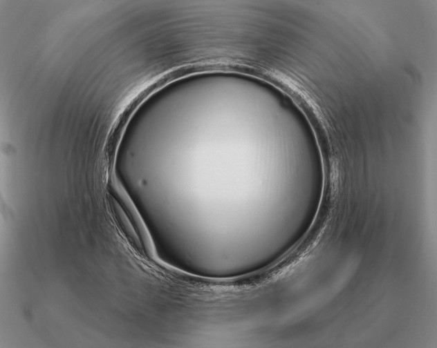 X0000090610925200708071200