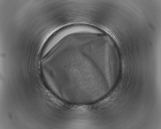 X0000090610926200708071200