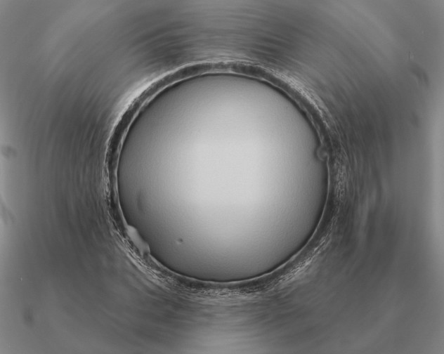 X0000090610927200708071200