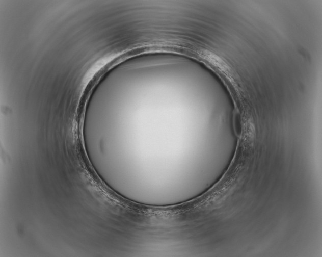 X0000090610928200708071200