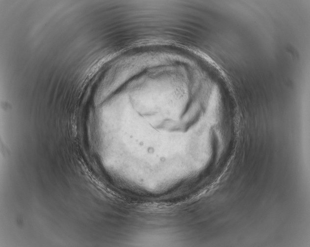 X0000090610929200708071200