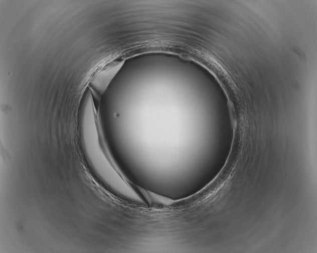 X0000090610930200708071200