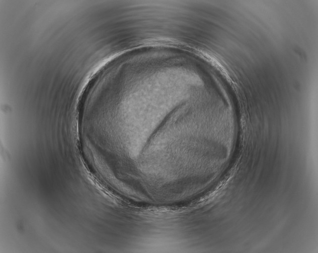 X0000090610931200708071200