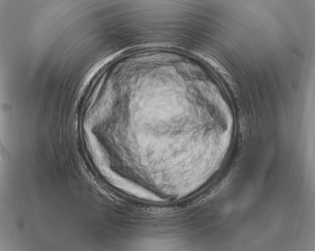 X0000090610933200708071200