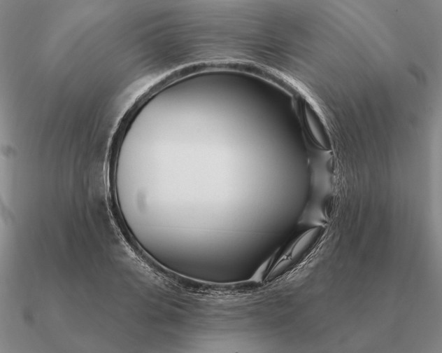 X0000090610935200708071200