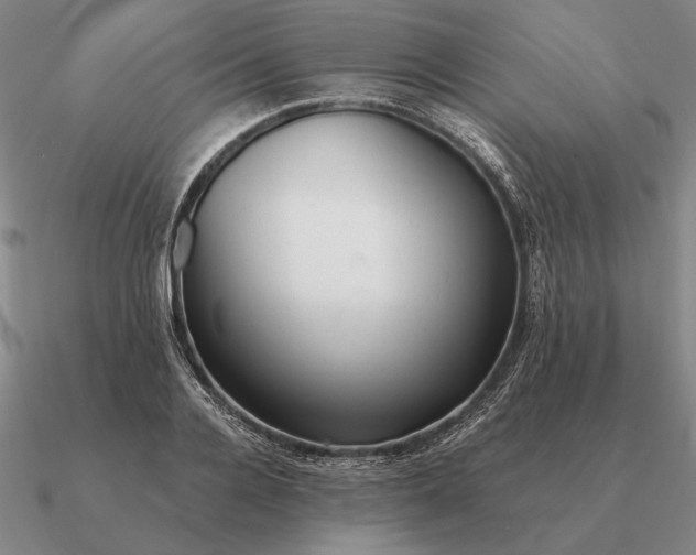 X0000090610936200708071200