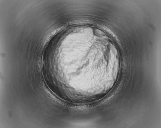 X0000090610937200708071200