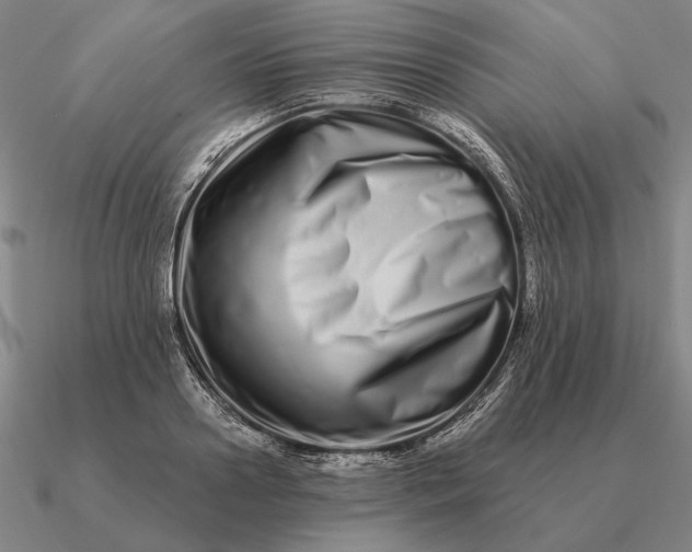 X0000090610938200708071200