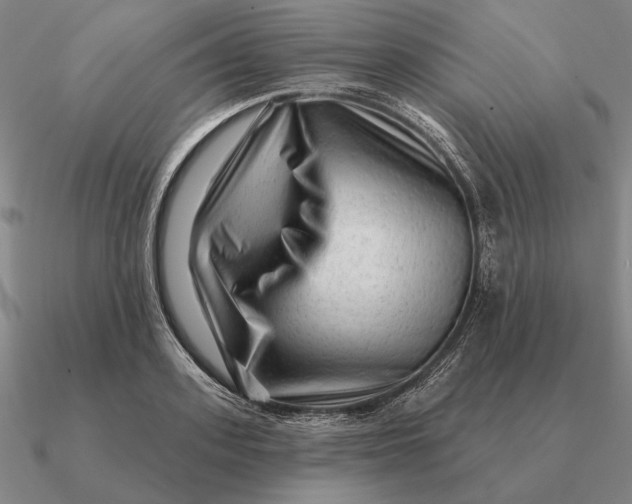 X0000090610939200708071200