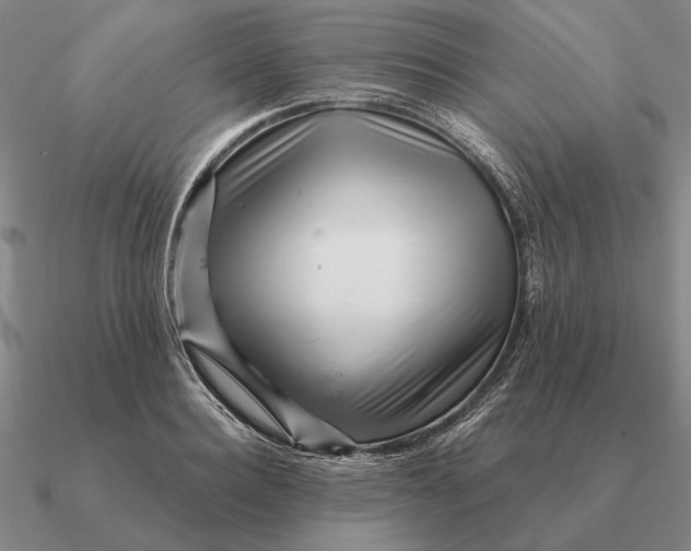 X0000090610940200708071200