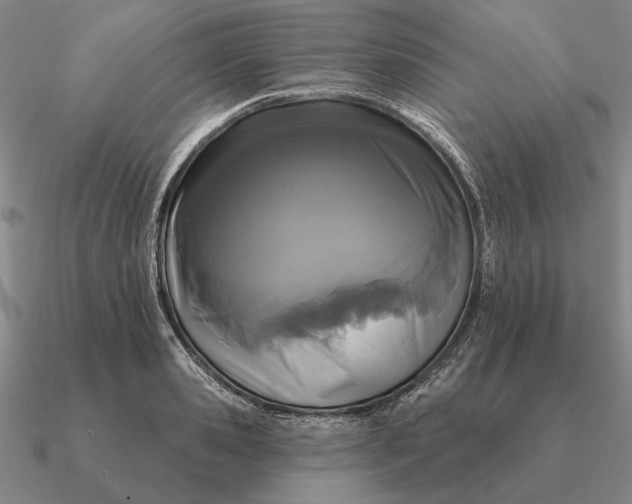 X0000090610941200708071200