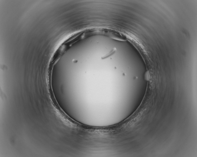 X0000090610942200708071200