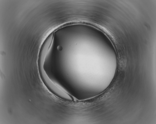 X0000090610943200708071200