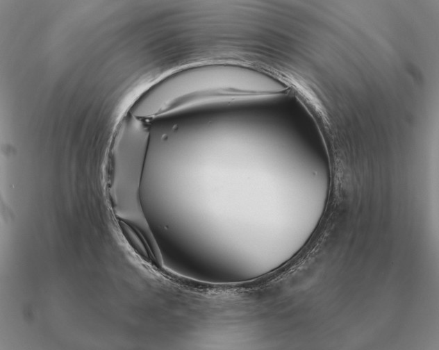 X0000090610944200708071200