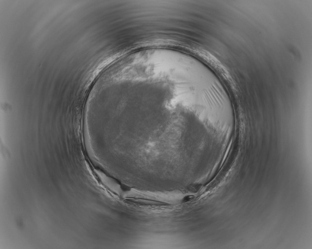 X0000090610945200708071200