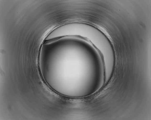 X0000090610946200708071200