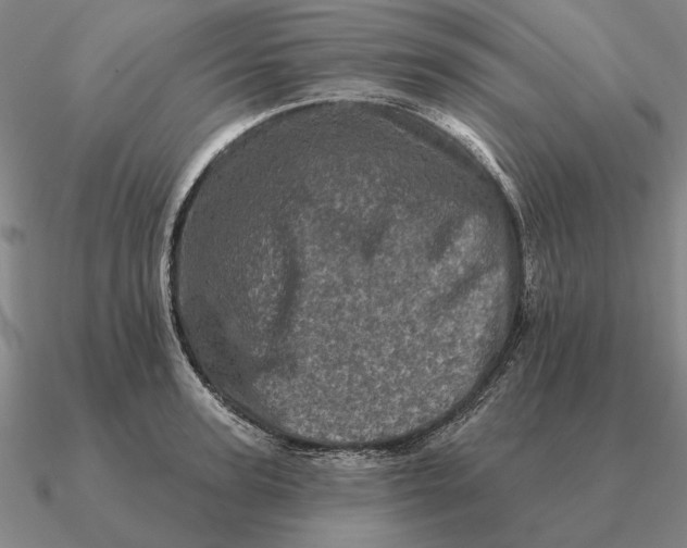 X0000090610947200708071200