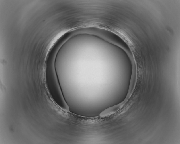 X0000090610948200708071200