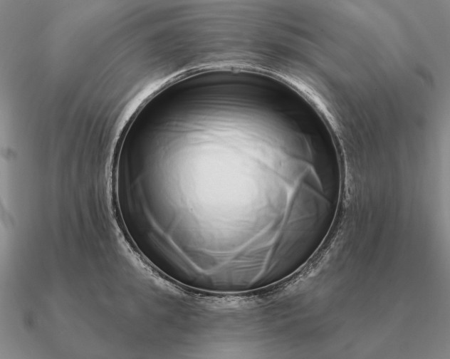 X0000090610949200708071200