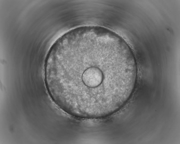 X0000090610950200708071200