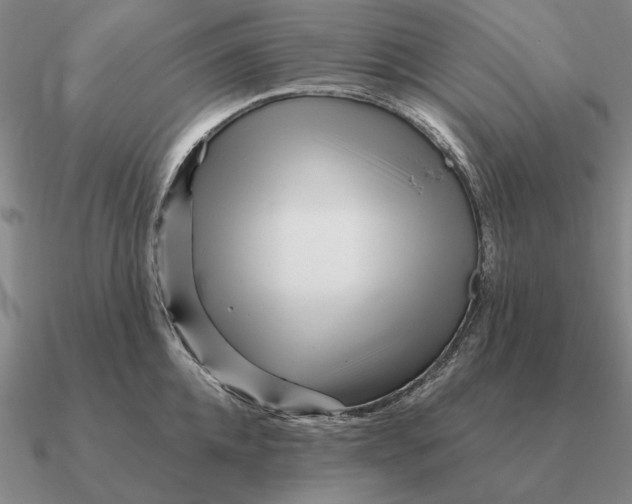 X0000090610952200708071200