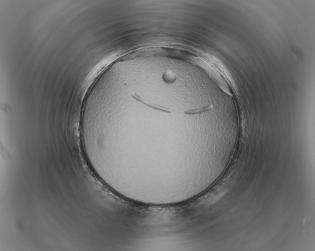 X0000090610954200708071200