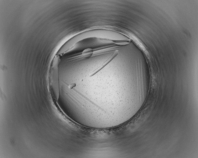 X0000090610955200708071200