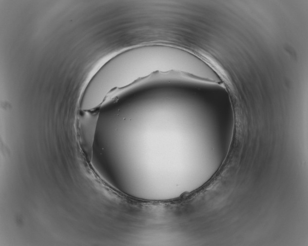 X0000090610956200708071200