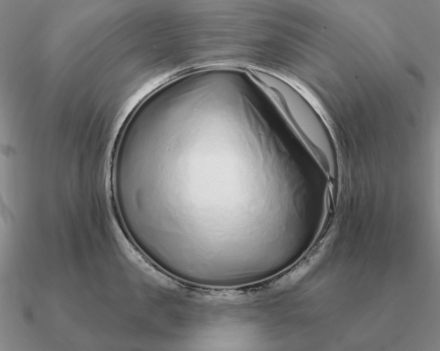 X0000090610957200708071201