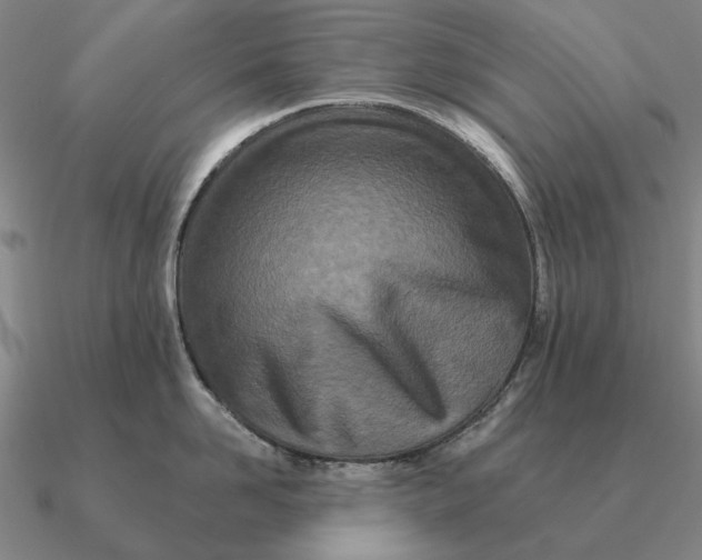 X0000090610958200708071201