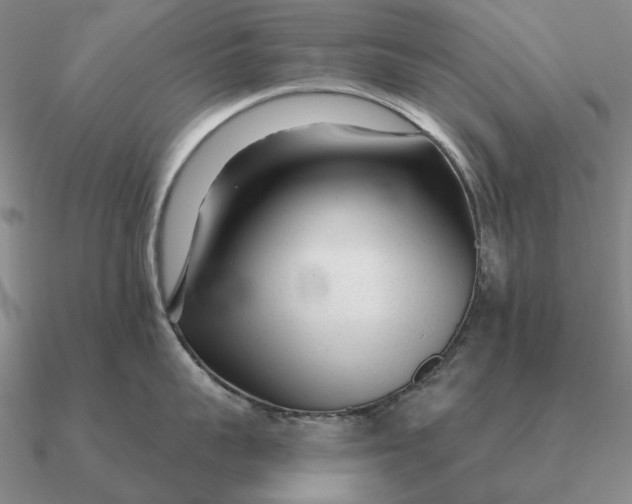 X0000090610959200708071201