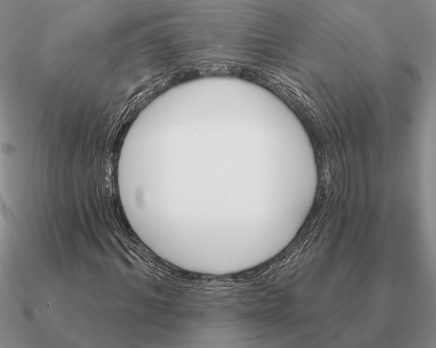 X0000090610964200708071200