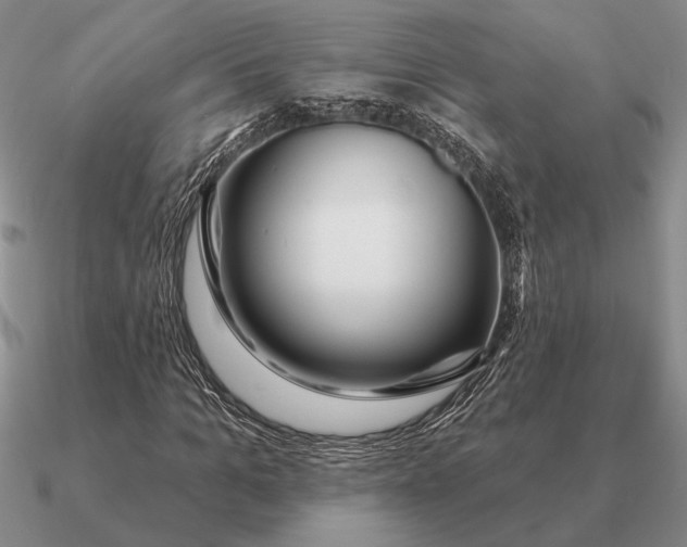 X0000090610965200708071200